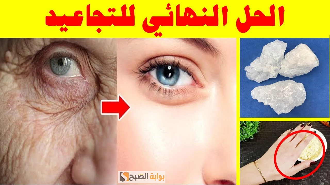 لو عاوزة ترجعي للعشرين جبتلكم الحل كريم الكولاجين الطبيعي حضريه في البيت بخطوات سهلة "هكذا ستختفي التجاعيد" 5 لو عاوزة ترجعي للعشرين جبتلكم الحل كريم الكولاجين الطبيعي حضريه في البيت بخطوات سهلة “هكذا ستختفي التجاعيد”