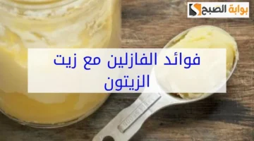 كريم زيت الزيتون مع الفازلين لإزالة تشققات القدمين والجلد