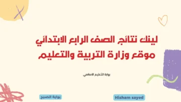 بوابة التعليم الأساسي بالرقم القومي.. لينك نتائج الصف الرابع الابتدائي موقع وزارة التربية والتعليم محافظة القاهرة 2024
