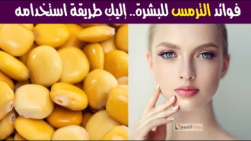 قناع الترمس المطحون مع الزبادي هيخلي بشرتك في حتى تانية خالص “تفتيح سريع بوقت قياسي”