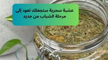ماسك ذيل الحصان لتطويل وتغذية الشعر