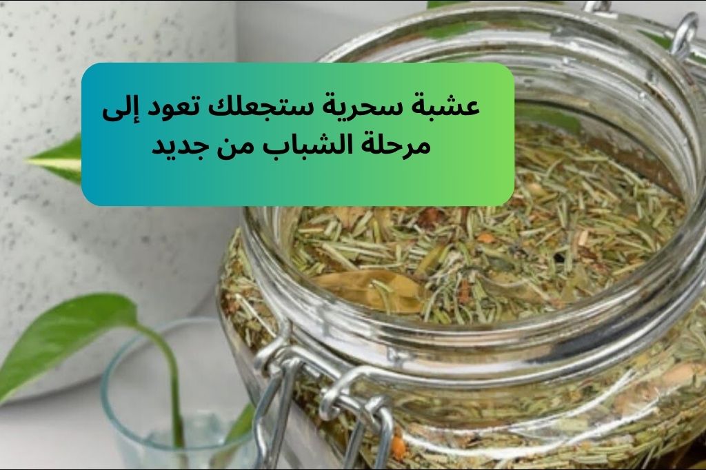 سر رهيب لازم تعرفوه.. عشبة سحرية ستجعلك تعود إلى مرحلة الشباب من جديد 5 سر رهيب لازم تعرفوه.. عشبة سحرية ستجعلك تعود إلى مرحلة الشباب من جديد