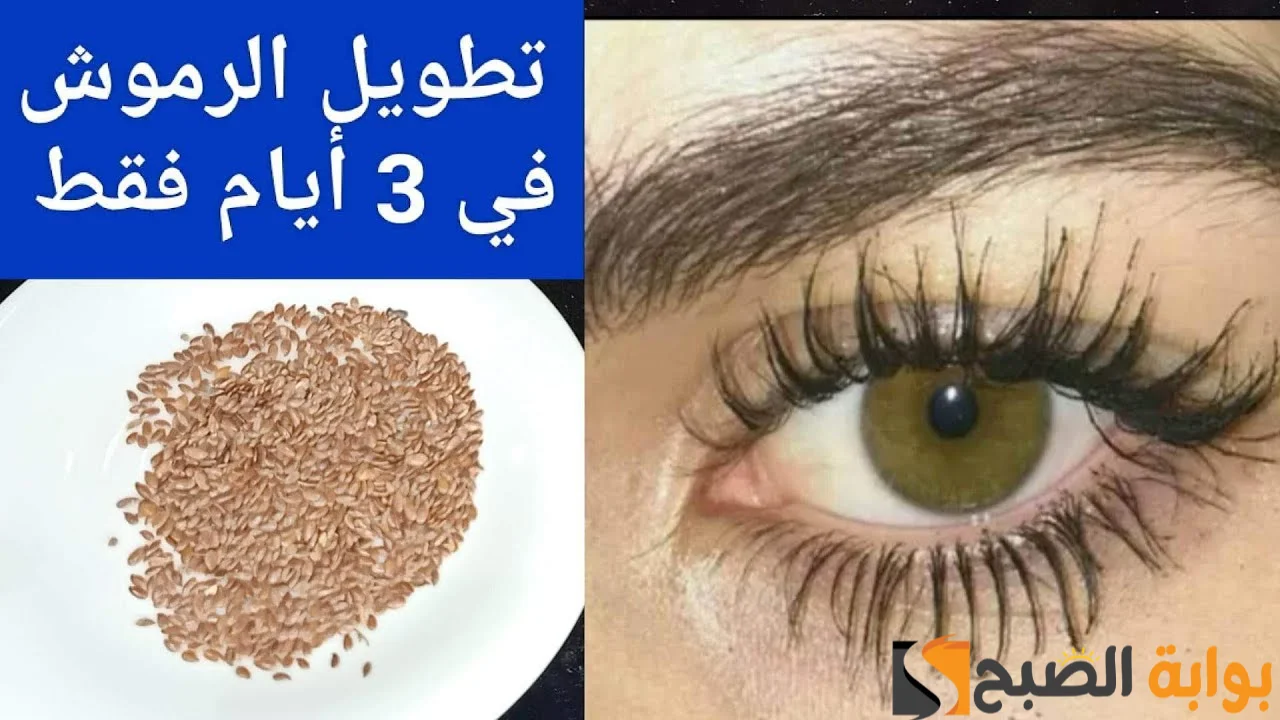 طريقة جهنمية لعمل ماسكارا طبيعية هتساعدك على تكثيف الرموش وزيادة طولها مهما كانت خفيفة "جربي وادعيلي" 2 طريقة جهنمية لعمل ماسكارا طبيعية هتساعدك على تكثيف الرموش وزيادة طولها مهما كانت خفيفة “جربي وادعيلي”