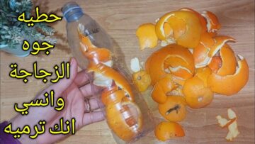 مترميش قشر البرتقال بعد ما تقشريه وحوشيه في ازايز هينفعك في البيت هيعملك المعجزات