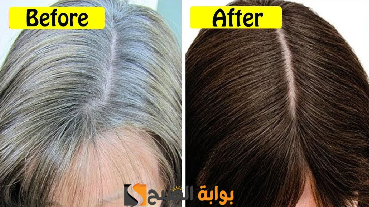 وصفة جارتي النوبية للقضاء على الشيب.. طريقة عمل معجون الحناء مع الخل لإزالة الشعر الأبيض والسبب المبكر 2 وصفة جارتي النوبية للقضاء على الشيب.. طريقة عمل معجون الحناء مع الخل لإزالة الشعر الأبيض والسبب المبكر