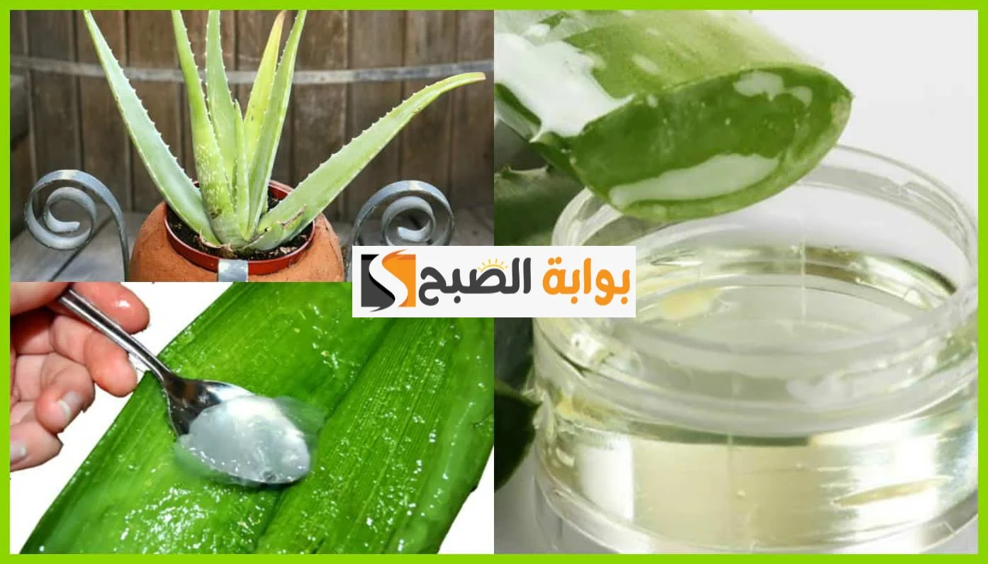قناع جل الصبار مع العسل والنشا لشد البشرة وإزالة التجاعيد "بديل سريع للبوتكس" 5 قناع جل الصبار مع العسل والنشا لشد البشرة وإزالة التجاعيد “بديل سريع للبوتكس”