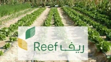 من المستفيدين من الدعم الريفي