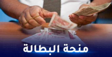 رابط تجديد منحة البطالة 2024 للشباب .. كيف اعرف وضعيتي في منحة البطالة