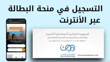 رابط تجديد منحة البطالة 2024 بالجزائر عبر الوكالة الوطنية للتشغيل