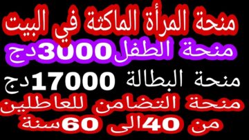 سجل الآن.. منحة الطفل في الجزائر 2024 والشروط المطلوبة