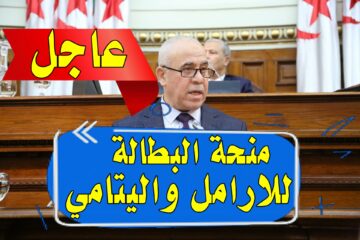 “بادر بالتسجيل” رابط موقع منحة البطالة minha anem dz تسجيل 2024 في الجزائر