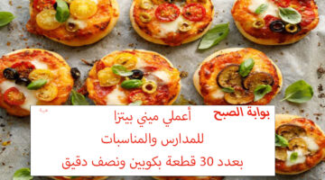 ميني بيتزاا للمدارس