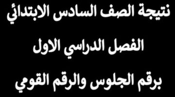 نتائج الصف السادس الابتدائي بالاسم ورقم الجلوس 2024