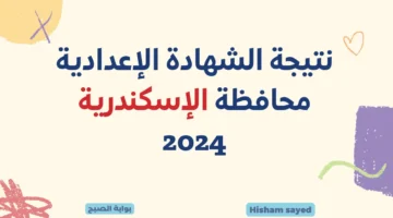 نتيجة الشهادة الإعدادية محافظة الإسكندرية 2024