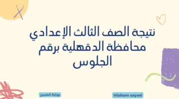 نتيجة الصف الثالث الإعدادي محافظة الدقهلية برقم الجلوس
