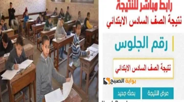 نتيجة الصف السادس الابتدائي 2024