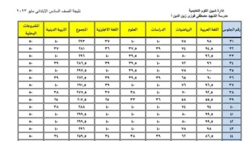 مبروك للجميع.. رابط استخراج نتيجة الصف السادس الابتدائي 2024 برقم الجلوس عبر موقع وزارة التربية والتعليم