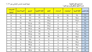 رابط نتيجة الصف السادس الابتدائي 2024 الفصل الدراسي الأول محافظة القاهرة