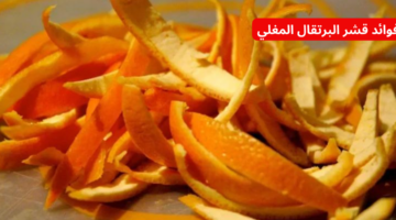 نص فقرتك 2024 01 17T173612.602