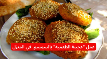 نص فقرتك 2024 01 18T170319.527
