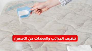 نص فقرتك 2024 01 18T191356.996