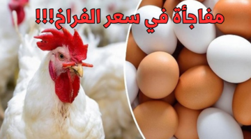 نص فقرتك 2024 01 20T004638.363