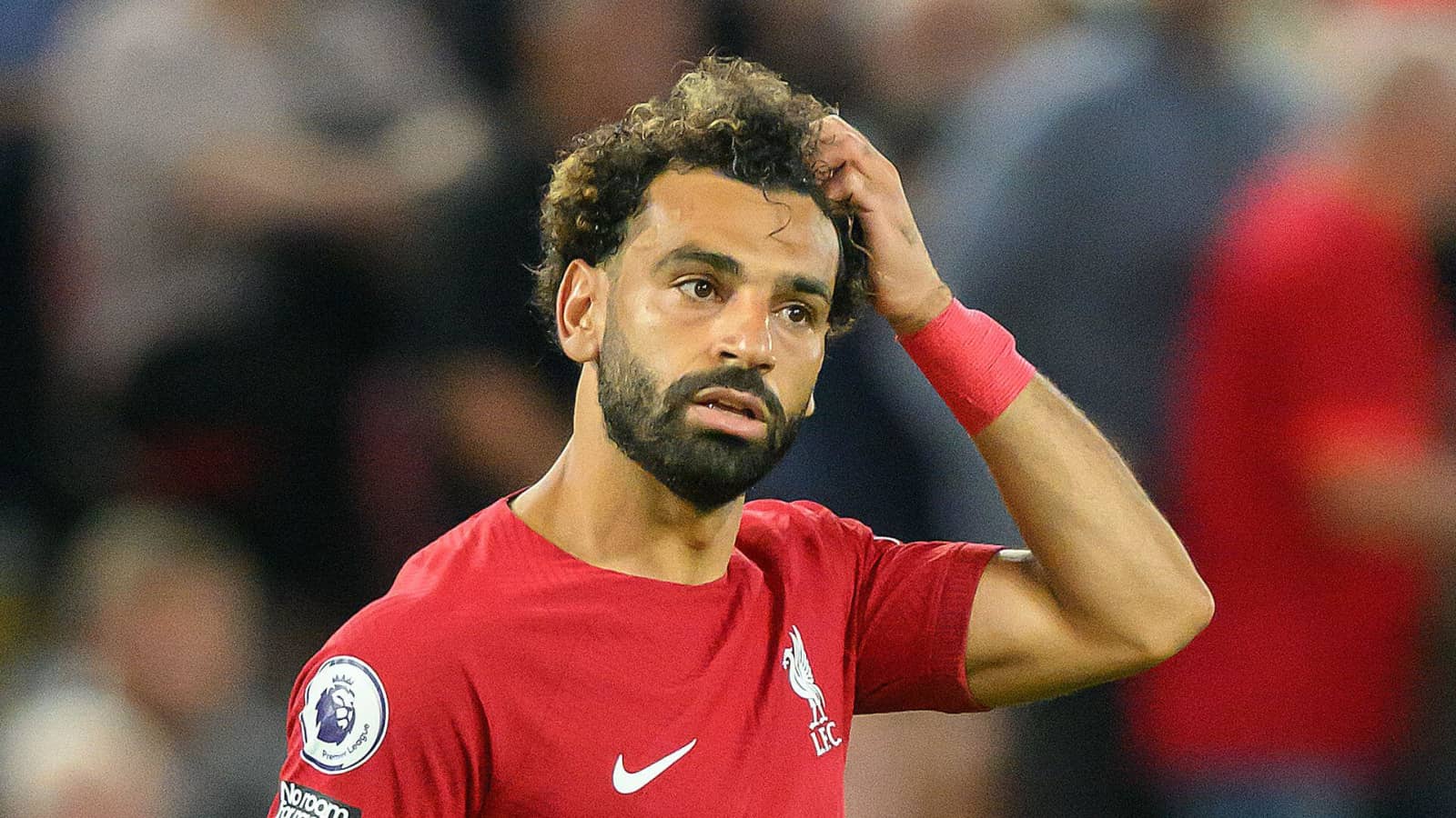 هل سيلعب محمد صلاح مباراة اليوم بين مصر والرأس الأخضر بعد إصابته في المباراة الماضية 5 هل سيلعب محمد صلاح مباراة اليوم بين مصر والرأس الأخضر بعد إصابته في المباراة الماضية