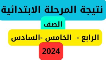 وزارة التربية والتعليم لينك نتيجة الصف السادس الابتدائي.. موعد نتائج سته ابتدائي بالجيزة 2024