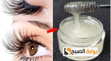 وصفات الزيوت الطبيعية لإطالة الرموش