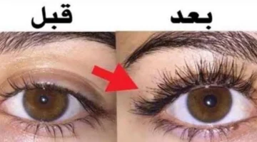 وصفات منزلية لتكثيف الحواجب