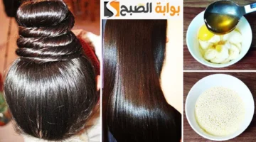 وصفة زيت الطبخ لتطويل الشعر سريعا