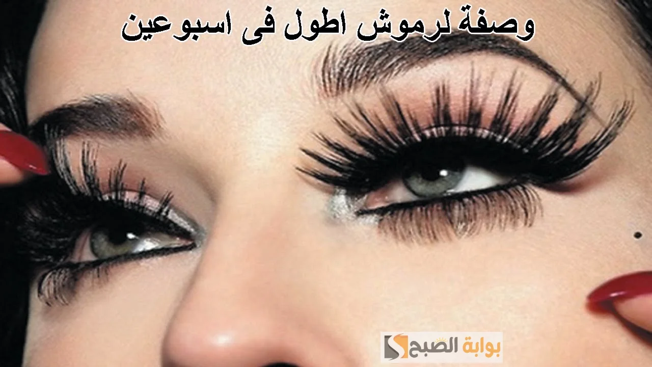 طبقى مجموعة من الوصفات الطبيعية لكثافة الرموش وزيادة طولها "هتستغني عن الماسكارا" 5 طبقى مجموعة من الوصفات الطبيعية لكثافة الرموش وزيادة طولها “هتستغني عن الماسكارا”