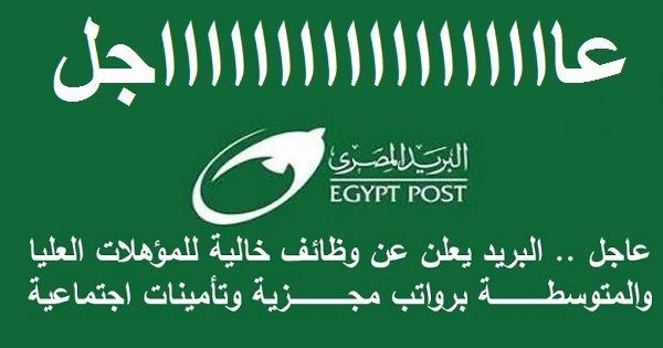 "مغعل الآن" موقع التقديم على وظائف البريد المصري 2024 بالرابط+ أهم الشروط المطلوبة 5 “مغعل الآن” موقع التقديم على وظائف البريد المصري 2024 بالرابط+ أهم الشروط المطلوبة