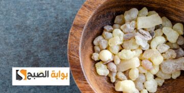 وصفة لبان الذكر للوجه والشعر ماسك تفتيح فوري وشعر طويل في وقت قصير والنتيجة سريعة