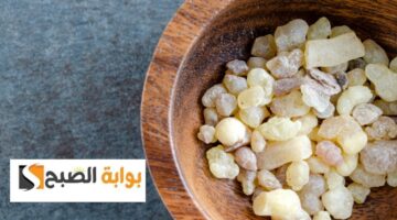 ٢٠٢٤٠١٠٢ ٠٦٥٨٠٤