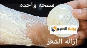 ٢٠٢٤٠١٠٢ ٠٧٢٠٣٦