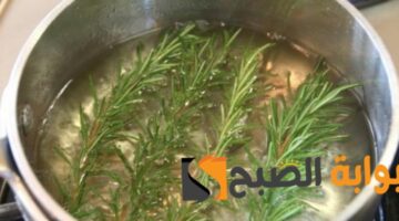 ٢٠٢٤٠١٠٩ ٠٦٢١٢٠