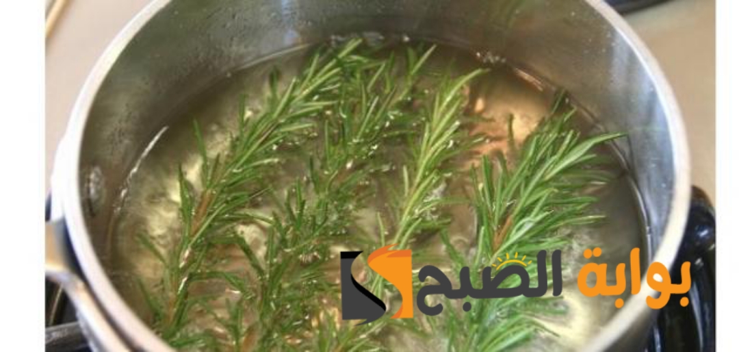 وصفة اكليل الجبل للشعر طول ولمعان بدون تساقط بمكونات طبيعية ومجربة