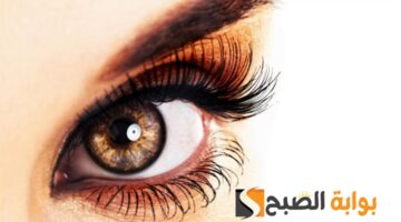 ٢٠٢٤٠١١٦ ٠٦٣٧٠٥