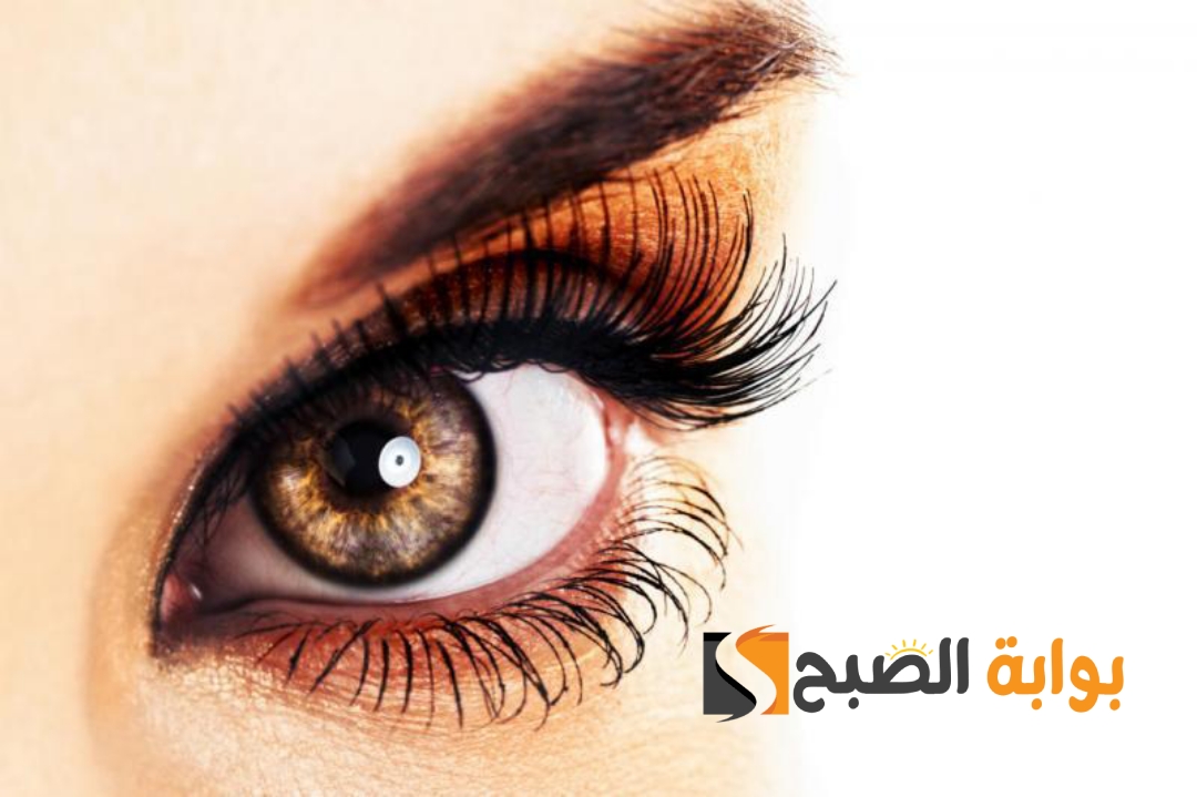 هتستغني عن الصناعية والمسكرة أفضل وصفة لتطويل الرموش وتكثيفها بمكونات طبيعية واقتصادية 5 هتستغني عن الصناعية والمسكرة أفضل وصفة لتطويل الرموش وتكثيفها بمكونات طبيعية واقتصادية