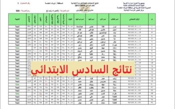 ظهرت حالاً نتائج السادس الابتدائي التمهيدي 2024 لعموم محافظات العراق عبر موقع نتائجنا