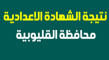 01e1587449eccd471668f91256d91629 800x500 1