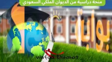 027253ee c50d 4e9c adae f5ca1d36a45e