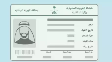 08 06 23 411623437