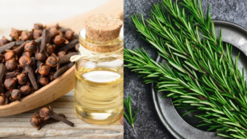 عطري بيتك بأحلى الروائح الطبيعية .. اتعلمي زراعة القرنفل والروزماري في البيت ووفري فلوسك