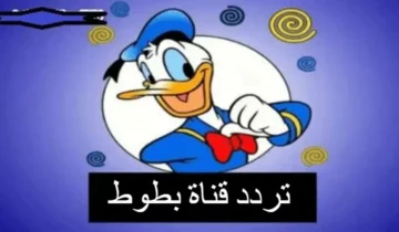 سلي أطفالك مع قناة بطوط الجديدة أعرف الترددات الصحيحة في جميع البلدان بتحديث 2024