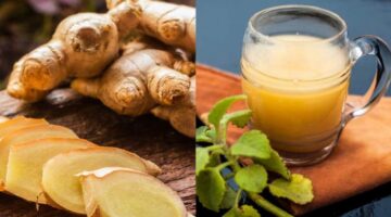 133 011306 ginger diet lose weight 700x400