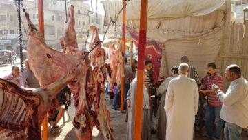 وزارة الزراعة تُفرح المصريين وتطلق مبادرة توفير اللحوم البلدية بأسعار مخفضة