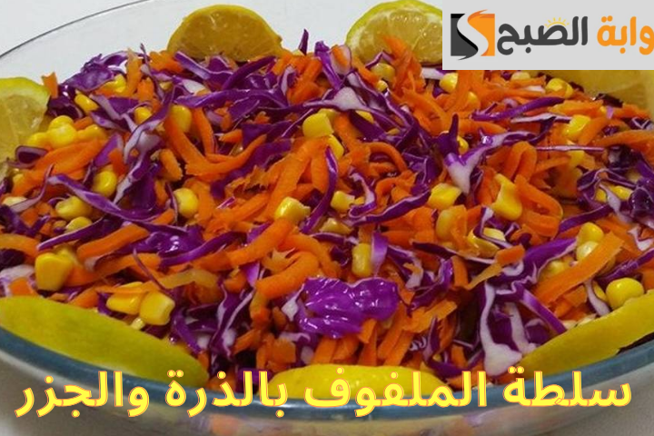 بالإسرار الروسية... تعرفي على طريقة عمل سلطة الملفوف والجزر 5 بالإسرار الروسية… تعرفي على طريقة عمل سلطة الملفوف والجزر