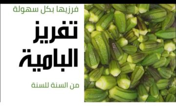 خزنيها لرمضان.. أسرار تخزين البامية الخضراء من السنة للسنة بدون تغير في اللون أو الطعم هتبقى خضراء زي ما اشترتيها